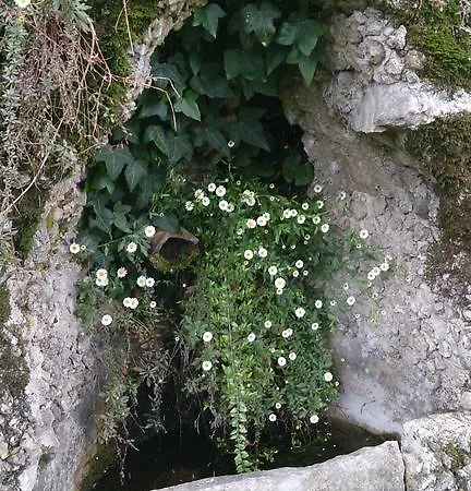 Piccolo Mondo Antico Cadenabbia