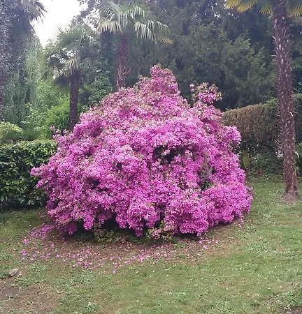 Piccolo Mondo Antico דירה
